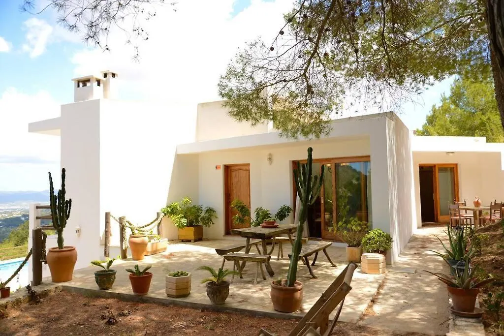 Villa Olga - San Jose 0*, San José